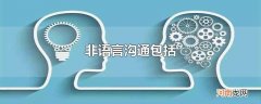非语言沟通包括