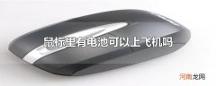 鼠标里有电池可以上飞机吗