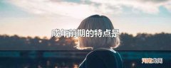 成年前期的特点是