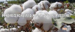 种植棉花和棉纺技术是什么时代才得到推广