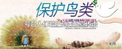 号召人们爱护鸟类的宣传语