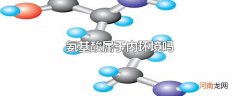 氨基酸属于内环境吗