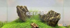 松皮石产地