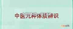 九种体质一字口诀