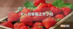 十一月草莓上市了吗