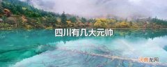 四川有几大元帅