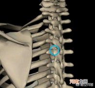 硬梆梆 每天感觉后背硬梆梆的该怎么办？