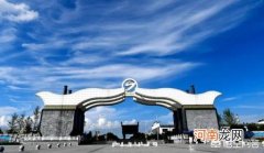 双沟酒业 江苏人平时都爱喝什么酒？