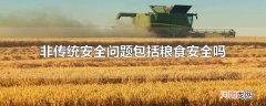 非传统安全问题包括粮食安全吗