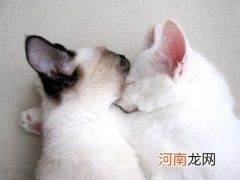 奥巴马多大 奥巴马的经济政策有哪些？