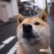 齐鲁大地 齐鲁大地从古自今出了多少圣人？