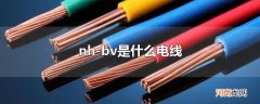 nh-bv是什么电线