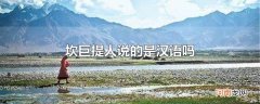 坎巨提人说的是汉语吗