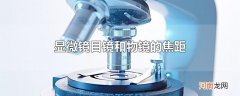 显微镜目镜和物镜的焦距