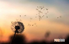 五十知天命是什么意思