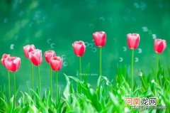 五年级女生 如何与上小学五年级的女儿沟通？