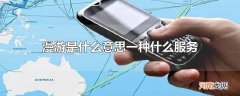漫游是什么意思一种什么服务