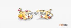小老虎的昵称