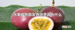 水果成熟散发香味是因为什么