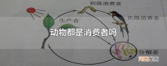 动物都是消费者吗