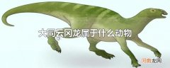 大同云冈龙属于什么动物
