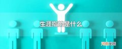 生涯指的是什么