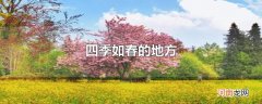 四季如春的地方
