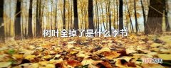 树叶全掉了是什么季节