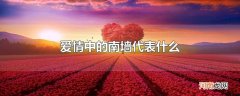 爱情中的南墙代表什么
