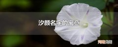 汐颜名字的寓意