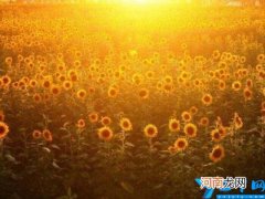 长沙最好的职高排名 长沙财经学校