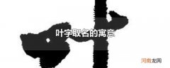 叶字取名的寓意