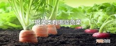 根菜类有哪些蔬菜