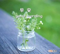 清晨问候语简短