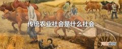 传统农业社会是什么社会