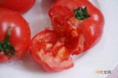 刚摘下的西红柿怎么保存