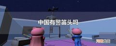 中国有警笛头吗