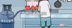燃气会自燃吗