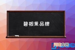 碧根果品牌,碧根果谁家好吃？