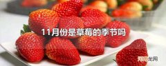 11月份是草莓的季节吗