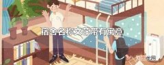 宿舍名称文艺带有寓意