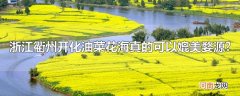 浙江衢州开化油菜花海真的可以媲美婺源?