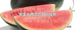 黑美人西瓜几月份成熟