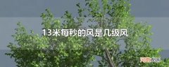 13米每秒的风是几级风