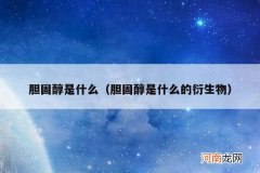 胆固醇是什么的衍生物 胆固醇是什么