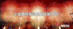 小金鱼摔炮算是烟花爆竹吗?