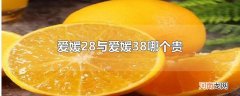 爱媛28与爱媛38哪个贵