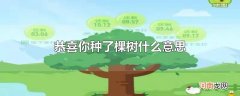 恭喜你种了棵树什么意思