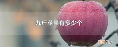 九斤苹果有多少个