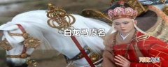 白龙马原名